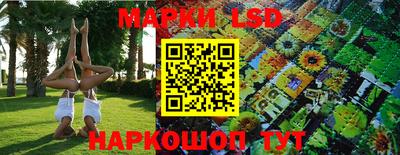 каннабис Новозыбков